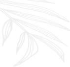 Sản phảm nổi bật