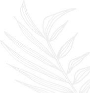 Sản phảm nổi bật