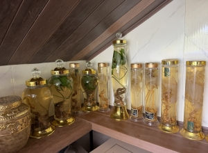 Hướng Dẫn Ngâm Rượu Sâm Ngọc Linh Để Giữ Trọn Vẹn Dược Tính