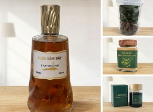 Những thức quà quý từ đại ngàn Ngọc Linh có thể bạn chưa biết