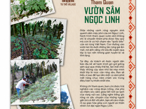 Thôn Tu Thó – Hành Trình Đến “Vùng Đất Vàng” Mà Ít Người Thành Thị Biết Đến