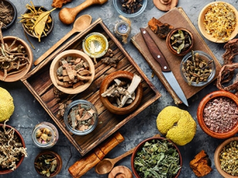 “Thần dược” Sâm Ngọc Linh và những câu hỏi thường gặp