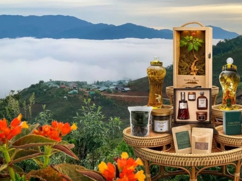HTX Du Lịch và Dược Liệu Ngọc Linh Đồng Hành Cùng Hội Thi Ẩm Thực Quốc Tế