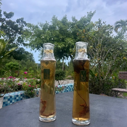 BÌNH RƯỢU CỦ SÂM NGỌC LINH - 1L