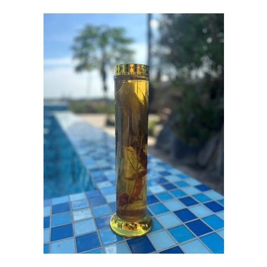 BÌNH RƯỢU CỦ SÂM NGỌC LINH - 1,5L