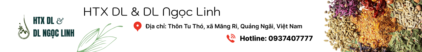 HỢP TÁC XÃ DU  LỊCH VÀ DƯỢC  LIỆU NGỌC LINH